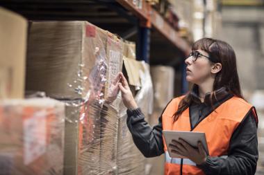 Warehouse management system adds brains to Borderline