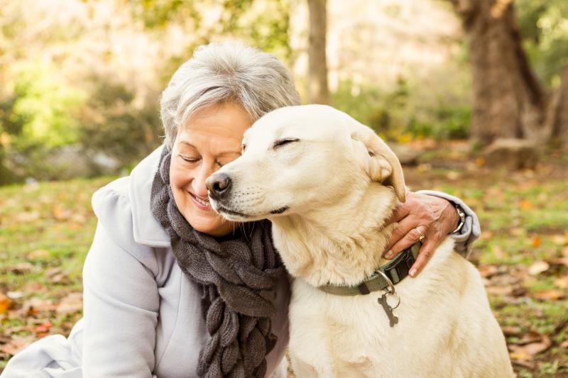 Dog With Owner