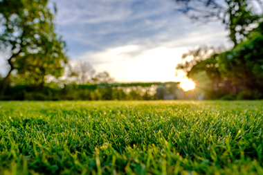 Orbit's systems make lawn care a breeze