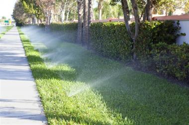 Spotlight On: Orbit Irrigation's B-hyve